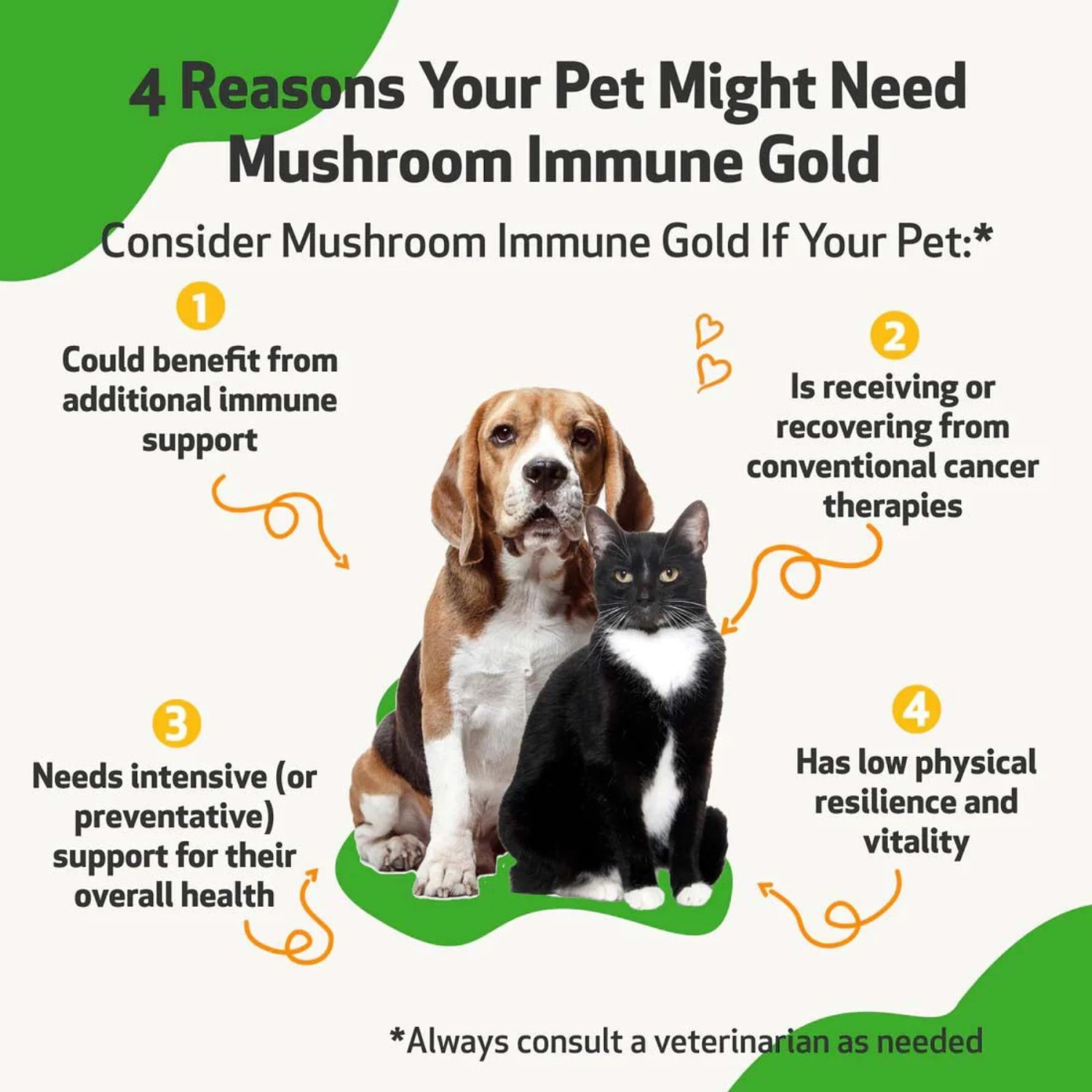 Pet Wellbeing Mushroom Immune GOLD Bacon Flavored Liquid Immune Supplement For Cats & Dogs 2 Pet Wellbeing Mushroom Immune GOLD Bacon Flavored Liquid Immune Supplement For Cats & Dogs - Image 2