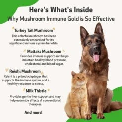 Pet Wellbeing Mushroom Immune GOLD Bacon Flavored Liquid Immune Supplement For Cats & Dogs 13 Pet Wellbeing Mushroom Immune GOLD Bacon Flavored Liquid Immune Supplement For Cats & Dogs -Pet Wellness 180357 PT4. AC SS1800 V1696886929