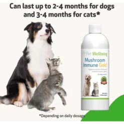Pet Wellbeing Mushroom Immune GOLD Bacon Flavored Liquid Immune Supplement For Cats & Dogs 15 Pet Wellbeing Mushroom Immune GOLD Bacon Flavored Liquid Immune Supplement For Cats & Dogs -Pet Wellness 180357 PT6. AC SS1800 V1696886928
