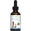 Pet Wellbeing Nettle-Eyebright Gold Bacon Flavored Liquid Allergy Supplement For Dogs & Cats