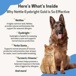 Pet Wellbeing Nettle-Eyebright Gold Bacon Flavored Liquid Allergy Supplement For Dogs & Cats -Pet Wellness 180359 PT5. AC SS1800 V1696886872