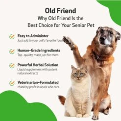 Pet Wellbeing Old FRIEND Bacon Flavored Liquid Supplement For Large Breed Senior Dogs -Pet Wellness 180362 PT4. AC SS1800 V1694811630