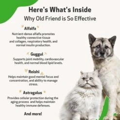 Pet Wellbeing Old FRIEND Bacon Flavored Liquid Supplement For Large Breed Senior Dogs -Pet Wellness 180362 PT5. AC SS1800 V1694812050