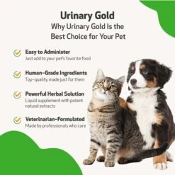 Pet Wellbeing Urinary GOLD Bacon Flavored Liquid Urinary Supplement For Dogs -Pet Wellness 180376 PT4. AC SS1800 V1696281007