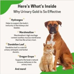 Pet Wellbeing Urinary GOLD Bacon Flavored Liquid Urinary Supplement For Dogs -Pet Wellness 180376 PT5. AC SS1800 V1696345484