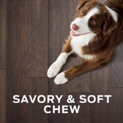 Purina Pro Plan Veterinary Diets Digestive Health Bites Soft & Chewy Dog Treats 16 Purina Pro Plan Veterinary Diets Digestive Health Bites Soft & Chewy Dog Treats -Pet Wellness 180381 PT7. AC SS1800 V1699367689