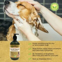 Greenbone Tea Tree Oil & Shea Butter Dog Shampoo 7 Greenbone Tea Tree Oil & Shea Butter Dog Shampoo -Pet Wellness 180990 PT2. AC SS1800 V1658521090