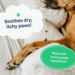 Petpost Dog Paw Balm With Jojoba & Coconut Oil -Pet Wellness 181121 PT2. AC SS1800 V1564597353