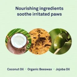 Petpost Dog Paw Balm With Jojoba & Coconut Oil -Pet Wellness 181121 PT3. AC SS1800 V1564597317