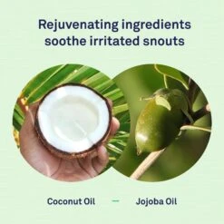 Petpost Dog Snout Balm With Jojoba & Coconut Oil -Pet Wellness 181123 PT3. AC SS1800 V1564597337