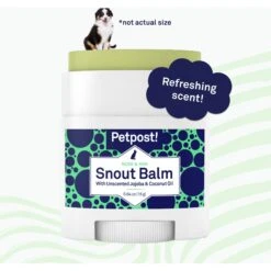 Petpost Dog Snout Balm With Jojoba & Coconut Oil -Pet Wellness 181123 PT4. AC SS1800 V1564597345