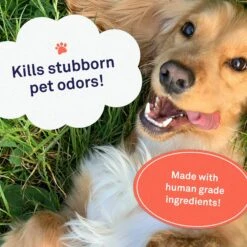 Petpost Pet Odor Eliminator Spray 6 Petpost Pet Odor Eliminator Spray -Pet Wellness 181142 PT2. AC SS1800 V1564597364