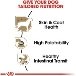 Royal Canin Breed Health Nutrition Yorkshire Terrier Adult Loaf In Gravy Pouch Dog Food, 3-oz Pouch, Case Of 12 -Pet Wellness 181586 PT2. AC SS1800 V1592558155