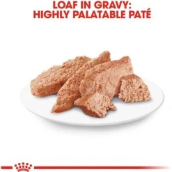 Royal Canin Breed Health Nutrition Yorkshire Terrier Adult Loaf In Gravy Pouch Dog Food, 3-oz Pouch, Case Of 12 -Pet Wellness 181586 PT5. AC SS1800 V1592849508