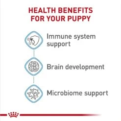 Royal Canin Size Health Nutrition Large Puppy Chunks In Gravy Dog Food Pouch, 4.9-oz, Case Of 10 10 Royal Canin Size Health Nutrition Large Puppy Chunks In Gravy Dog Food Pouch, 4.9-oz, Case Of 10 -Pet Wellness 181596 PT4. AC SS1800 V1697212792