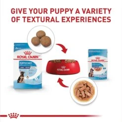 Royal Canin Size Health Nutrition Large Puppy Chunks In Gravy Dog Food Pouch, 4.9-oz, Case Of 10 11 Royal Canin Size Health Nutrition Large Puppy Chunks In Gravy Dog Food Pouch, 4.9-oz, Case Of 10 -Pet Wellness 181596 PT5. AC SS1800 V1697213773
