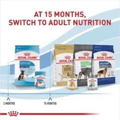 Royal Canin Size Health Nutrition Large Puppy Chunks In Gravy Dog Food Pouch, 4.9-oz, Case Of 10 12 Royal Canin Size Health Nutrition Large Puppy Chunks In Gravy Dog Food Pouch, 4.9-oz, Case Of 10 -Pet Wellness 181596 PT6. AC SS1800 V1697213712