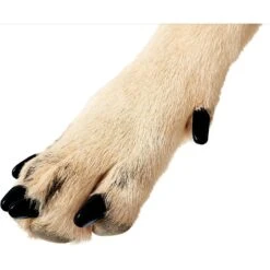 Purrdy Paws Soft Dog Nail Caps