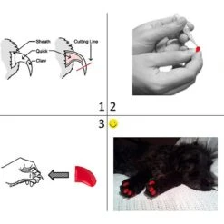 Purrdy Paws Soft Dog Nail Caps 9 Purrdy Paws Soft Dog Nail Caps -Pet Wellness 182117 PT3. AC SS1800 V1564417330