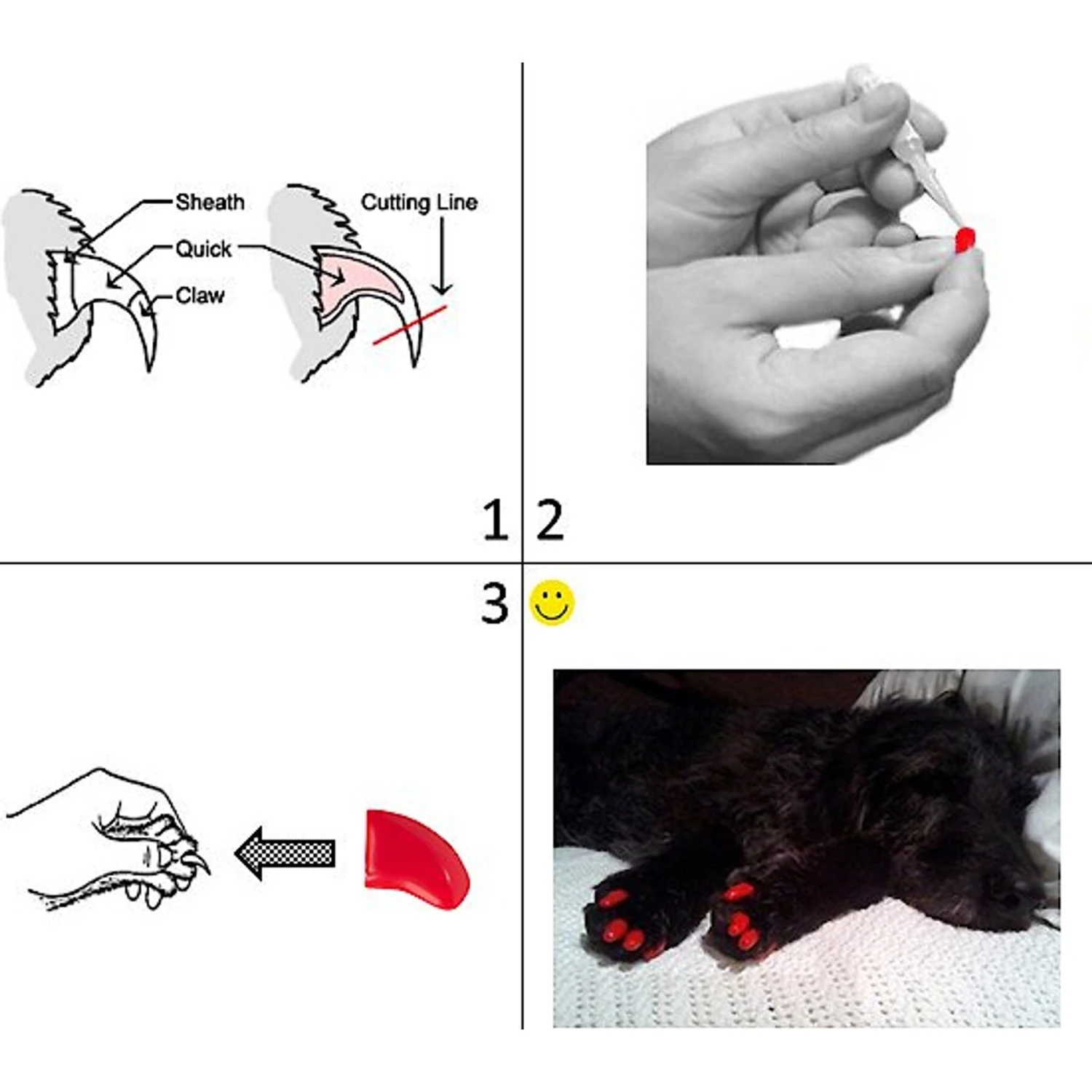 Purrdy Paws Soft Dog Nail Caps 3 Purrdy Paws Soft Dog Nail Caps - Image 3