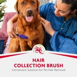 FURminator Hair Collection Dog & Cat Brush -Pet Wellness 183070 PT4. AC SS1800 V1701115657