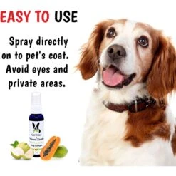 Warren London Wet Kiss Papaya & Guava All-Natural Dog & Cat Cologne 8 Warren London Wet Kiss Papaya & Guava All-Natural Dog & Cat Cologne -Pet Wellness 183094 PT3. AC SS1800 V1660858123