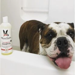Warren London Soothing & Itch Relieving Oatmeal Dog Shampoo -Pet Wellness 183104 PT4. AC SS1800 V1658843941
