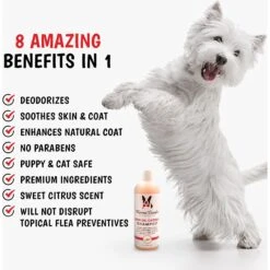 Warren London Neem Oil Flea & Tick Itch Relieving Dog Shampoo 7 Warren London Neem Oil Flea & Tick Itch Relieving Dog Shampoo -Pet Wellness 183110 PT2. AC SS1800 V1660255156