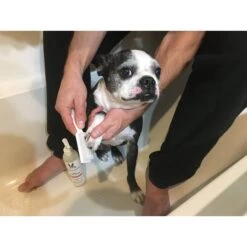 Warren London Paw Sani-Scrub Paw & Nail Dog Cleanser -Pet Wellness 183112 PT5. AC SS1800 V1660257394