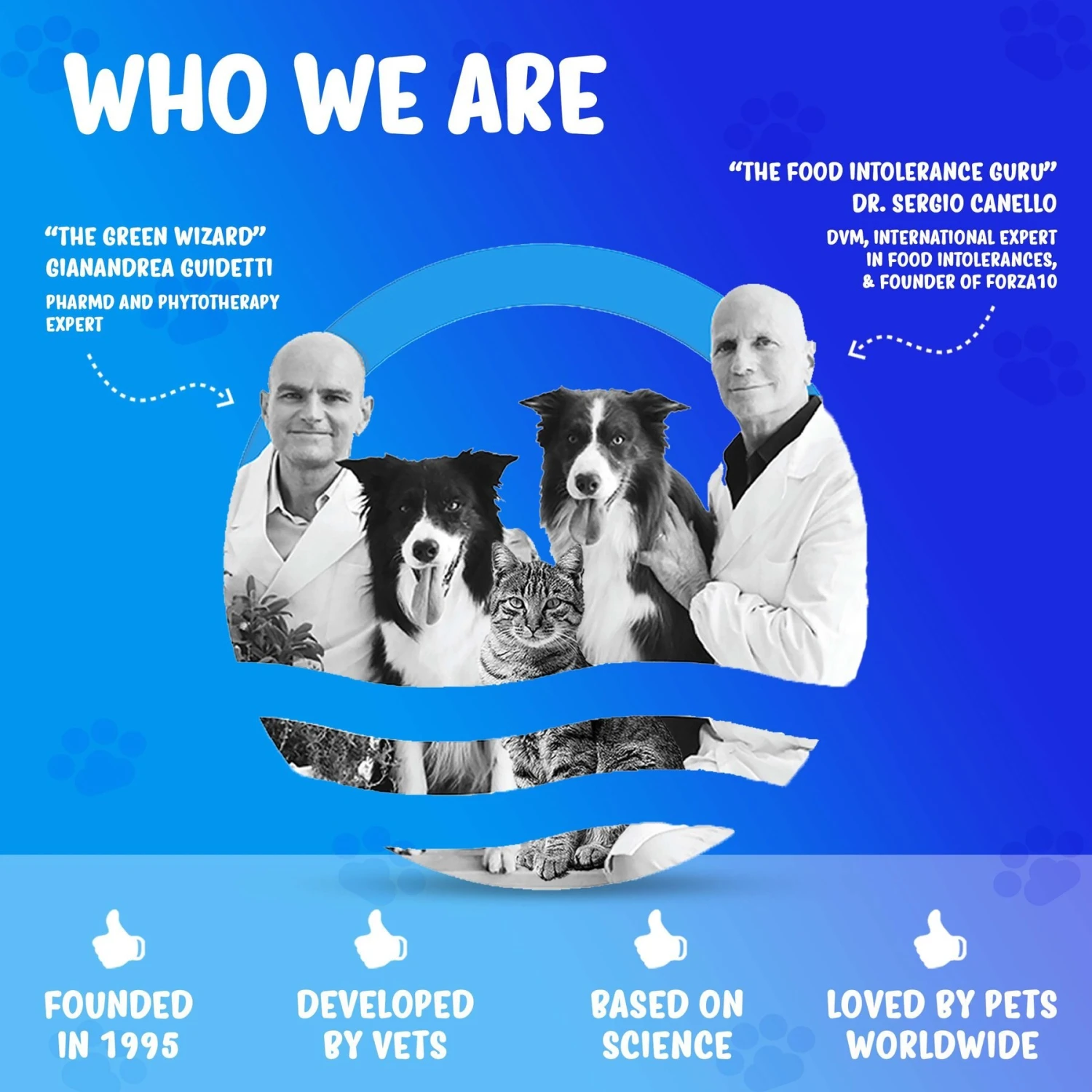 Forza10 Nutraceutic Active Intestinal Support Diet Dry Dog Food 4 Forza10 Nutraceutic Active Intestinal Support Diet Dry Dog Food - Image 4