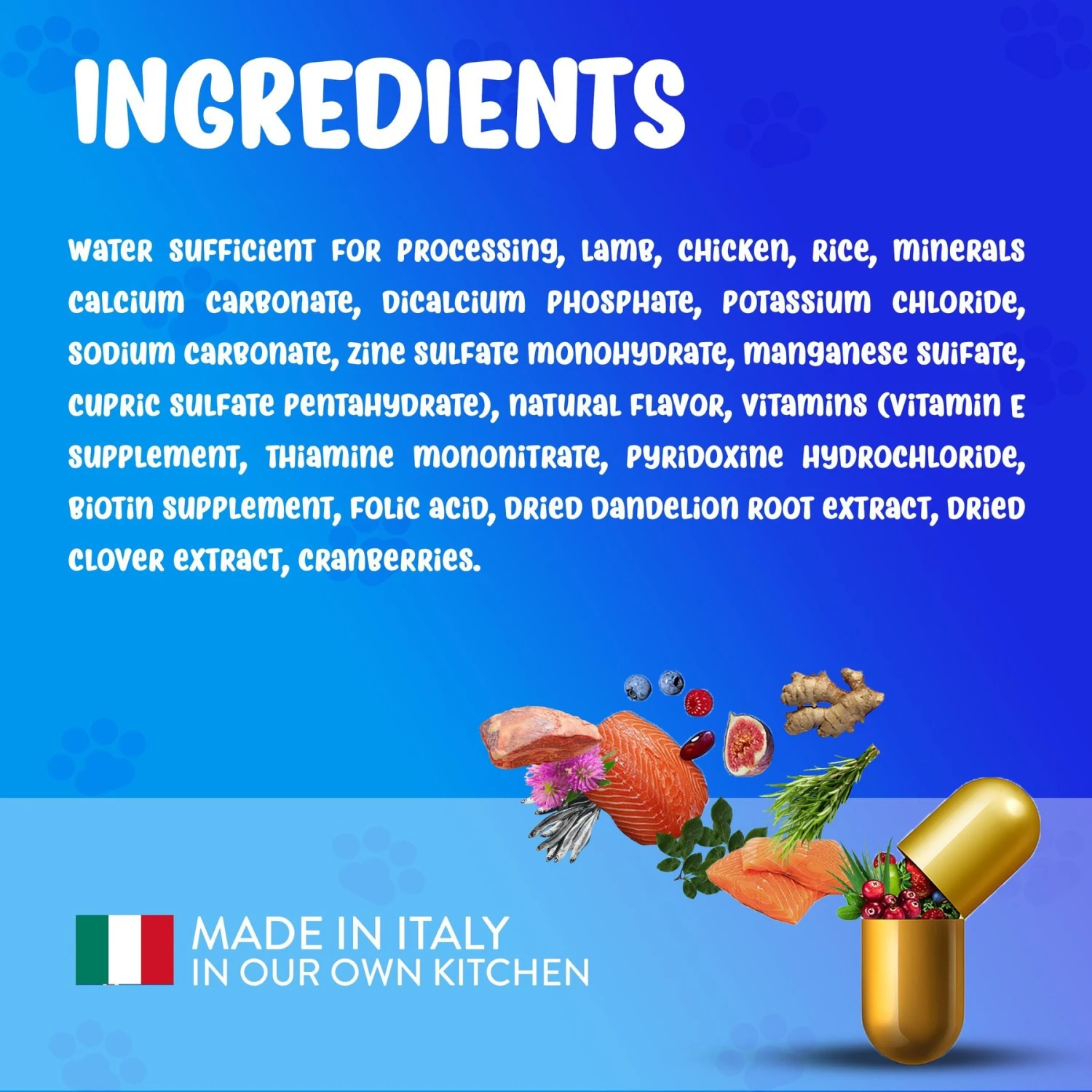 Forza10 Nutraceutic Actiwet Renal Support Wet Dog Food 5 Forza10 Nutraceutic Actiwet Renal Support Wet Dog Food - Image 5