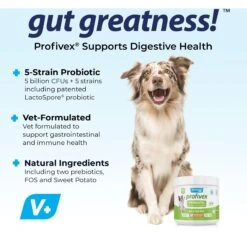 Vetnique Labs Profivex Dog Probiotic Supplement Digestive Health Probiotic, Prebiotic & Fiber Diarrhea Soft Chew Dog Supplement 11 Vetnique Labs Profivex Dog Probiotic Supplement Digestive Health Probiotic, Prebiotic & Fiber Diarrhea Soft Chew Dog Supplement -Pet Wellness 183304 PT2. AC SS1800 V1701881046
