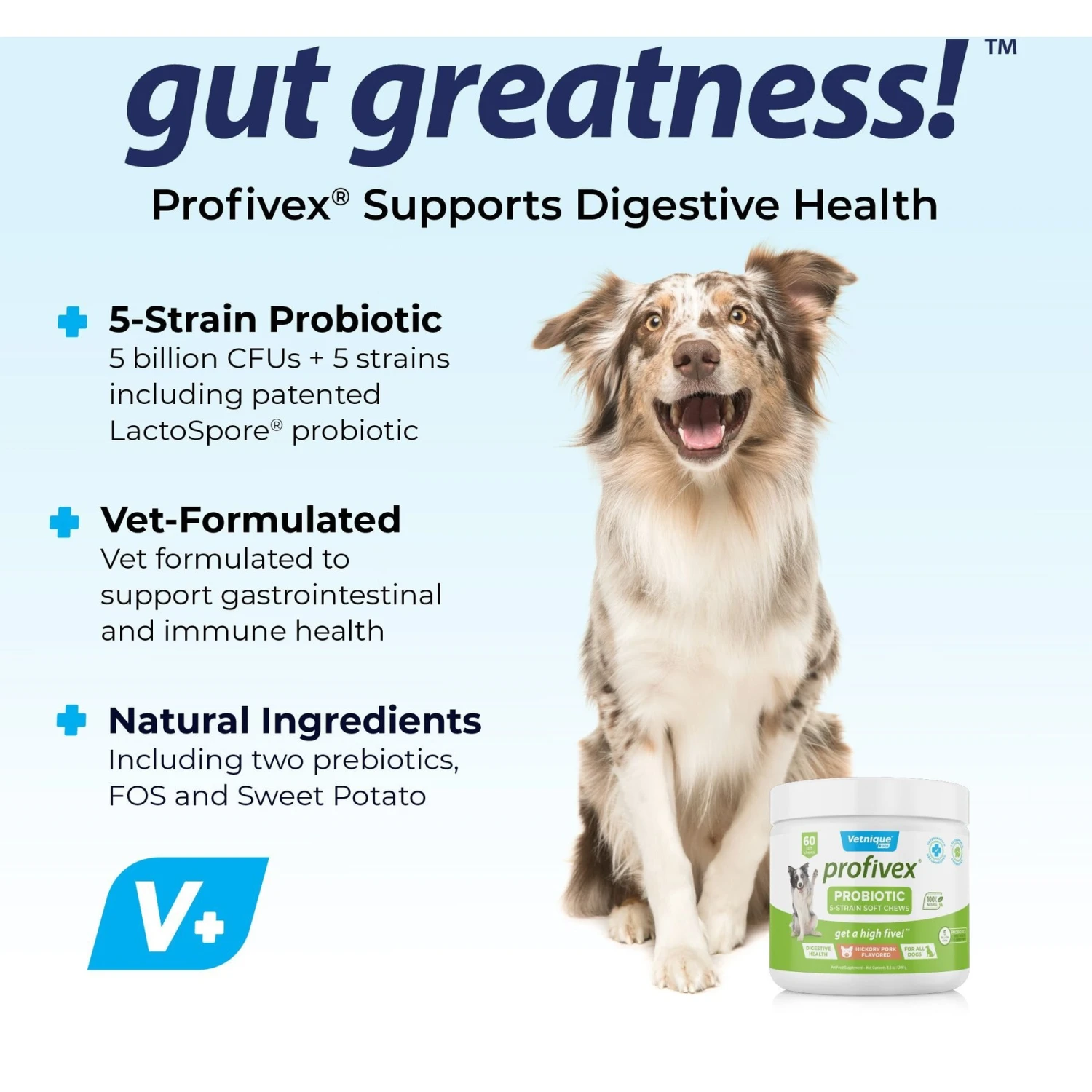 Vetnique Labs Profivex Dog Probiotic Supplement Digestive Health Probiotic, Prebiotic & Fiber Diarrhea Soft Chew Dog Supplement 3 Vetnique Labs Profivex Dog Probiotic Supplement Digestive Health Probiotic, Prebiotic & Fiber Diarrhea Soft Chew Dog Supplement - Image 3