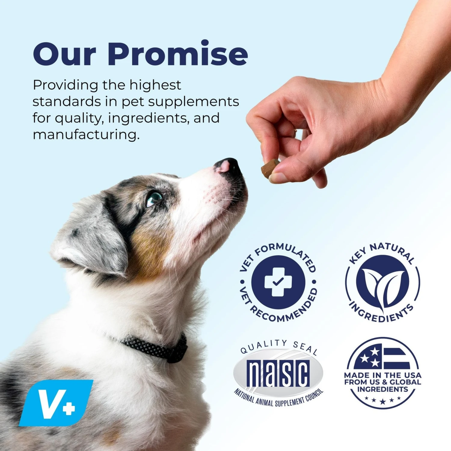 Vetnique Labs Profivex Dog Probiotic Supplement Digestive Health Probiotic, Prebiotic & Fiber Diarrhea Soft Chew Dog Supplement 7 Vetnique Labs Profivex Dog Probiotic Supplement Digestive Health Probiotic, Prebiotic & Fiber Diarrhea Soft Chew Dog Supplement - Image 7