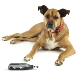 Dremel 7760-PGK 4V Pet Grooming Cordless Kit 7 Dremel 7760-PGK 4V Pet Grooming Cordless Kit -Pet Wellness 183799 PT2. AC SS1800 V1563831453