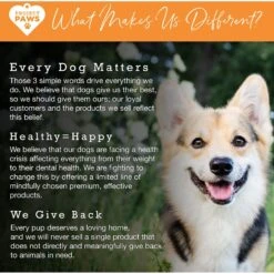 Project Paws Omega 3-6-9 Select Grain-Free Skin & Coat Support Dog Supplement Chews -Pet Wellness 186827 PT6. AC SS1800 V1564428452