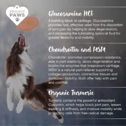Project Paws Advanced Grain-Free Hip & Joint Dog Supplement Chews 12 Project Paws Advanced Grain-Free Hip & Joint Dog Supplement Chews -Pet Wellness 186829 PT4. AC SS1800 V1564428444