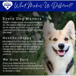 Project Paws Advanced Grain-Free Hip & Joint Dog Supplement Chews 14 Project Paws Advanced Grain-Free Hip & Joint Dog Supplement Chews -Pet Wellness 186829 PT6. AC SS1800 V1564428493