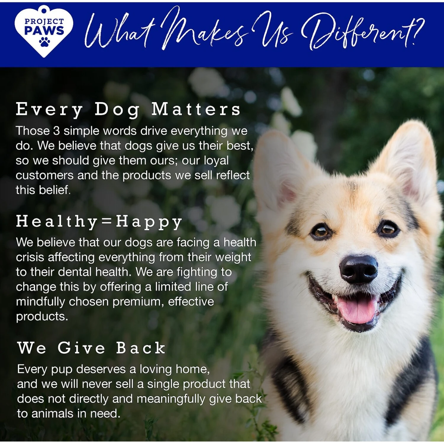 Project Paws Advanced Grain-Free Hip & Joint Dog Supplement Chews 7 Project Paws Advanced Grain-Free Hip & Joint Dog Supplement Chews - Image 7