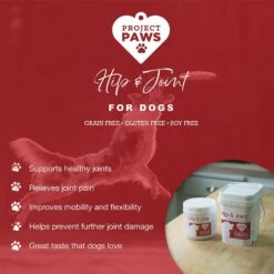 Project Paws Original Grain-Free Hip & Joint Dog Supplement Chews 11 Project Paws Original Grain-Free Hip & Joint Dog Supplement Chews -Pet Wellness 186830 PT3. AC SS1800 V1564428439