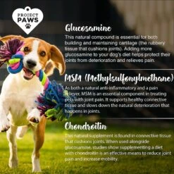 Project Paws Original Grain-Free Hip & Joint Dog Supplement Chews 12 Project Paws Original Grain-Free Hip & Joint Dog Supplement Chews -Pet Wellness 186830 PT4. AC SS1800 V1564428445
