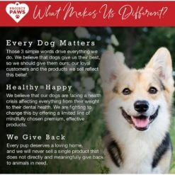 Project Paws Original Grain-Free Hip & Joint Dog Supplement Chews 14 Project Paws Original Grain-Free Hip & Joint Dog Supplement Chews -Pet Wellness 186830 PT6. AC SS1800 V1564428494