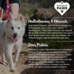 Project Paws Advanced Multi-Vitamin & Mineral Chewable Dog Supplements 12 Project Paws Advanced Multi-Vitamin & Mineral Chewable Dog Supplements -Pet Wellness 186845 PT4. AC SS1800 V1564428766