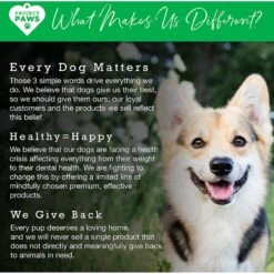 Project Paws Advanced Multi-Vitamin & Mineral Chewable Dog Supplements 14 Project Paws Advanced Multi-Vitamin & Mineral Chewable Dog Supplements -Pet Wellness 186845 PT6. AC SS1800 V1564428783