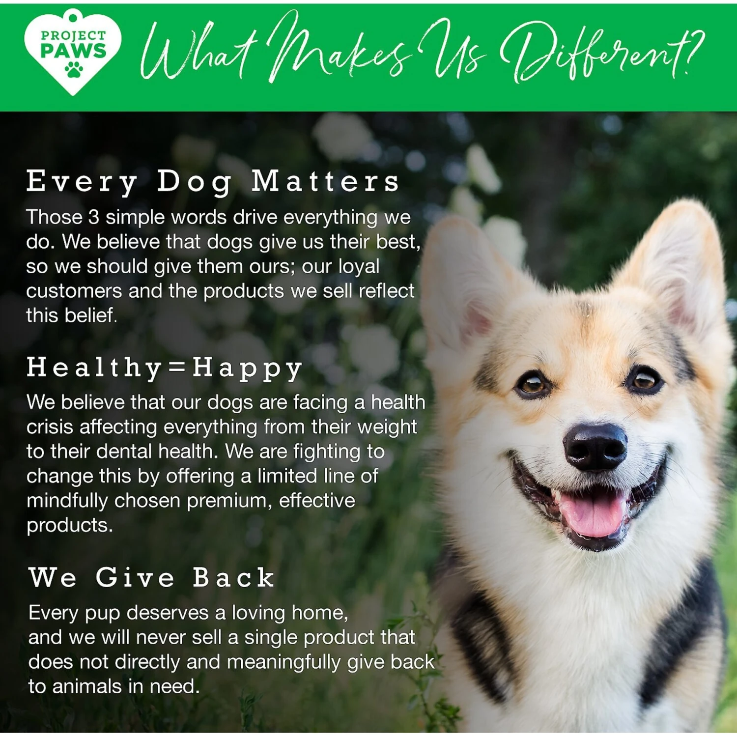 Project Paws Advanced Multi-Vitamin & Mineral Chewable Dog Supplements 7 Project Paws Advanced Multi-Vitamin & Mineral Chewable Dog Supplements - Image 7