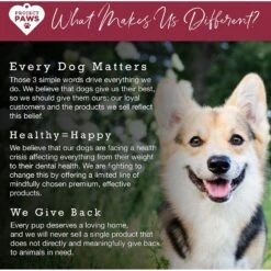 Project Paws Cranberry Plus D-Mannose Urinary Tract Support Chewable Dog Supplement -Pet Wellness 186847 PT6. AC SS1800 V1564428833