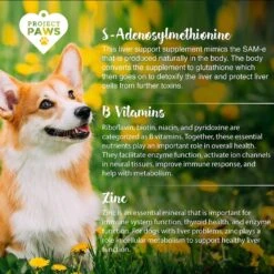 Project Paws SAM-e Advanced Liver Support Dog Supplement -Pet Wellness 186849 PT4. AC SS1800 V1564428786