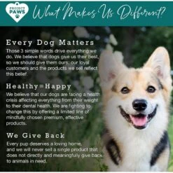 Project Paws SAM-e Advanced Liver Support Dog Supplement -Pet Wellness 186849 PT6. AC SS1800 V1564428732