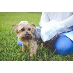 Scrubby Instant Bath Rinse Free Dog Shampoo Mittens -Pet Wellness 190318 pt5. AC SS1800 V1580507328