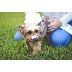 Scrubby Instant Bath Rinse Free Dog Shampoo Mittens -Pet Wellness 190318 pt7. AC SS1800 V1580507332